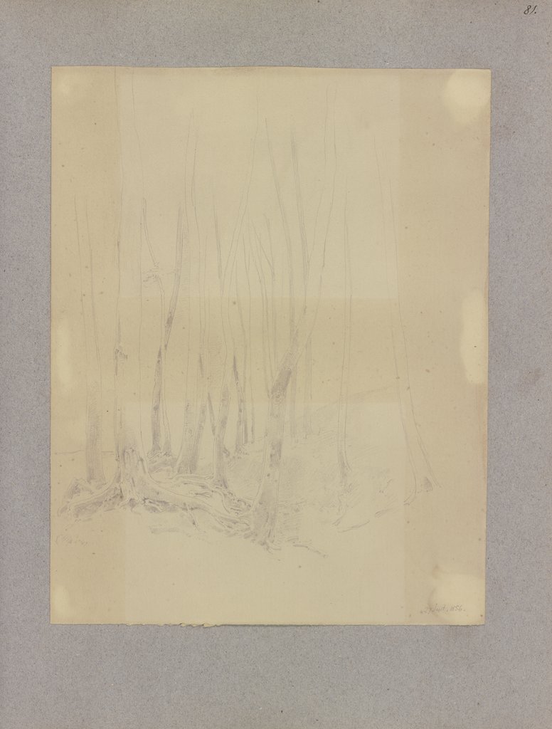 Klebebände, Band 16, Seite 81, Carl Theodor Reiffenstein