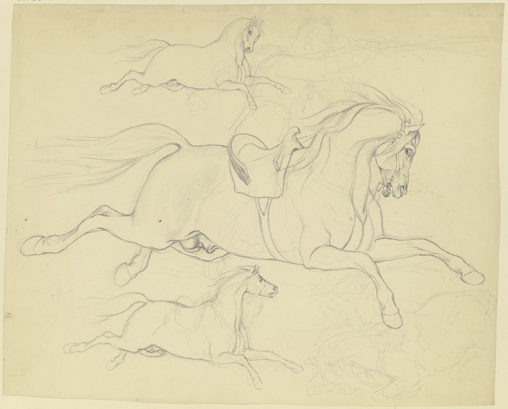 Studienblatt: Drei Pferde im gestreckten Galopp nach rechts, eines mit Sattel und angedeutetem Reiter, Ferdinand Fellner
