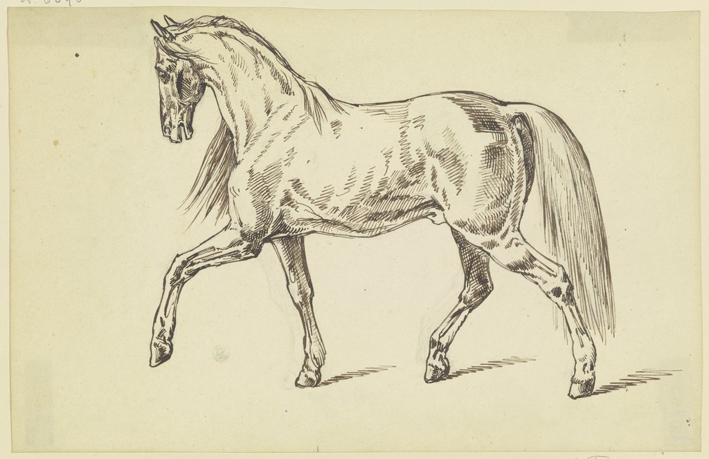 Pferd im Schritt nach links, Ferdinand Fellner