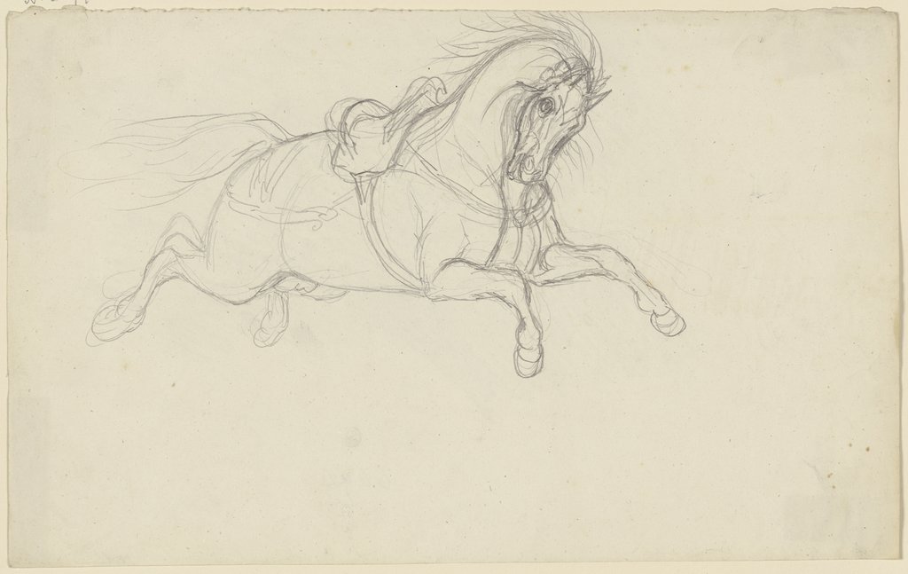 Durchgegangenes gesatteltes Pferd, Ferdinand Fellner