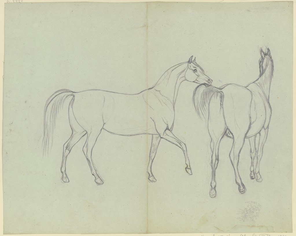 Two horses, Ferdinand Fellner
