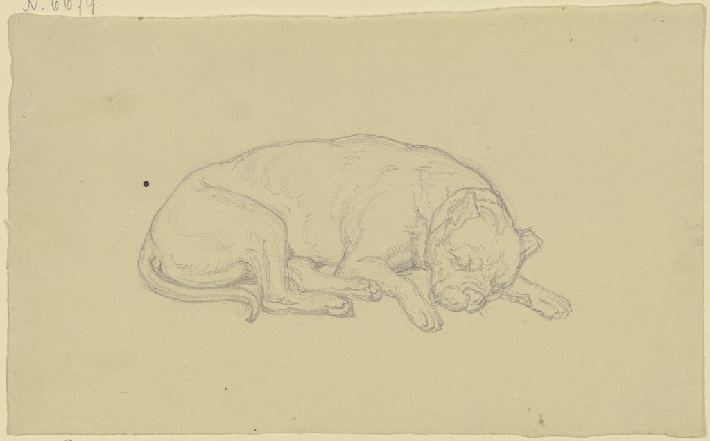Schlafender Hund, Ferdinand Fellner