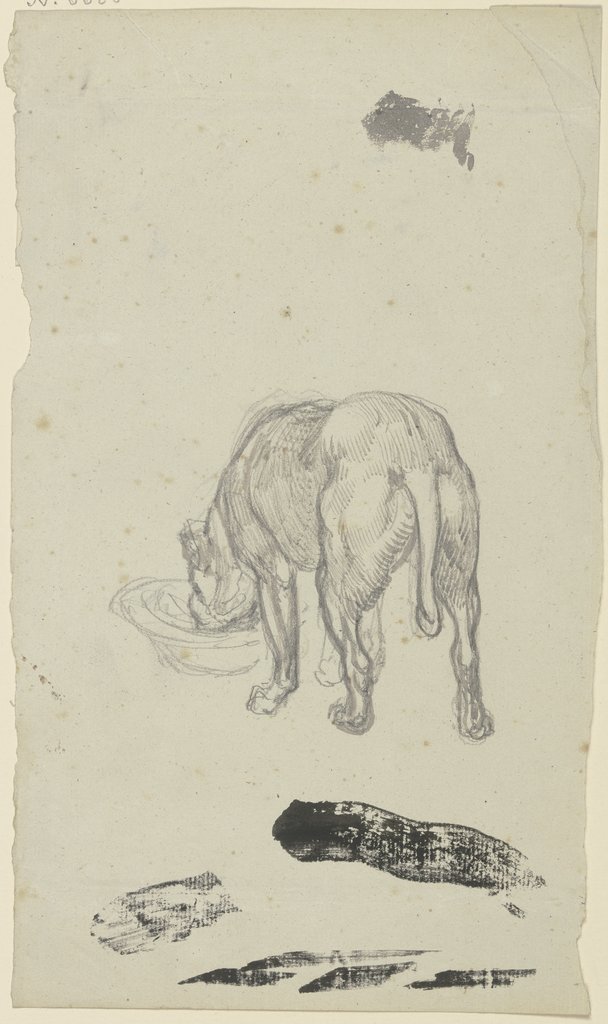 Saufender Hund, von hinten gesehen, Ferdinand Fellner
