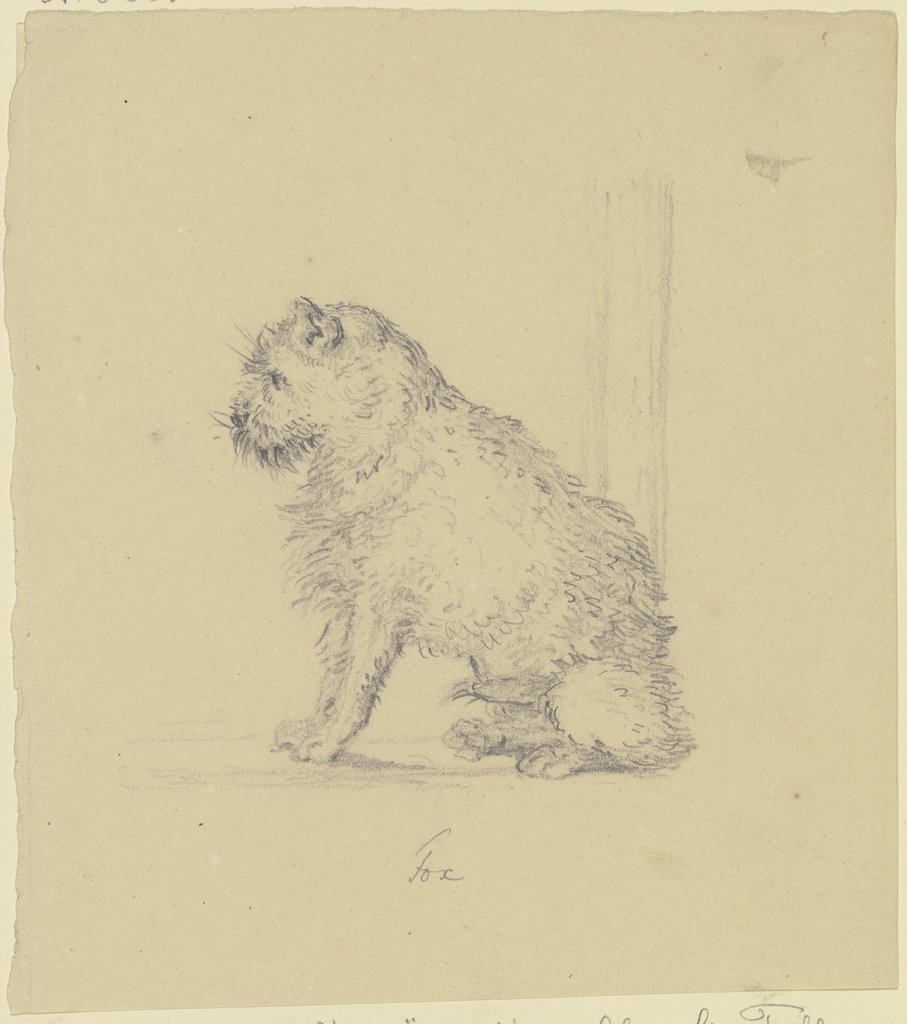 Sitzender Foxterrier nach links, Ferdinand Fellner