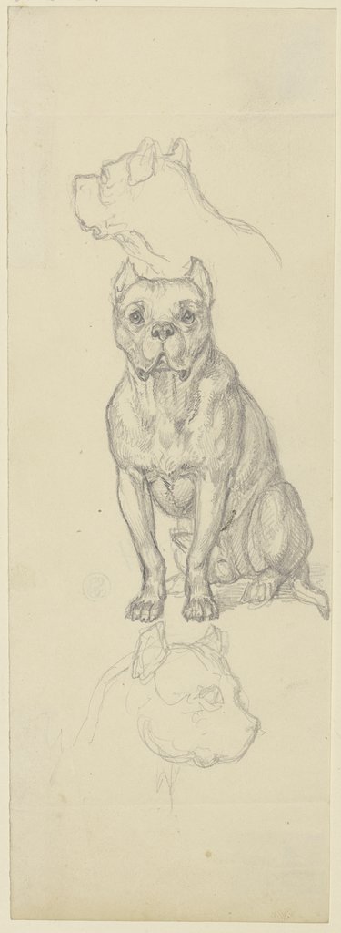 Sitzender Hund en face, Ferdinand Fellner