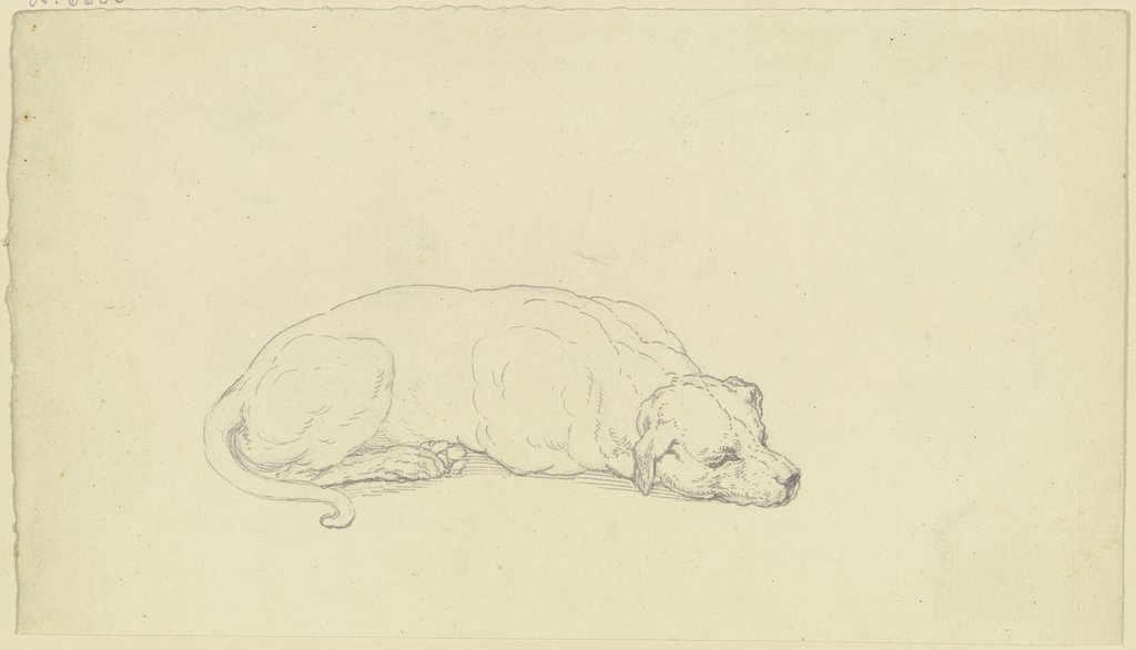 Schlafender Hund, Ferdinand Fellner