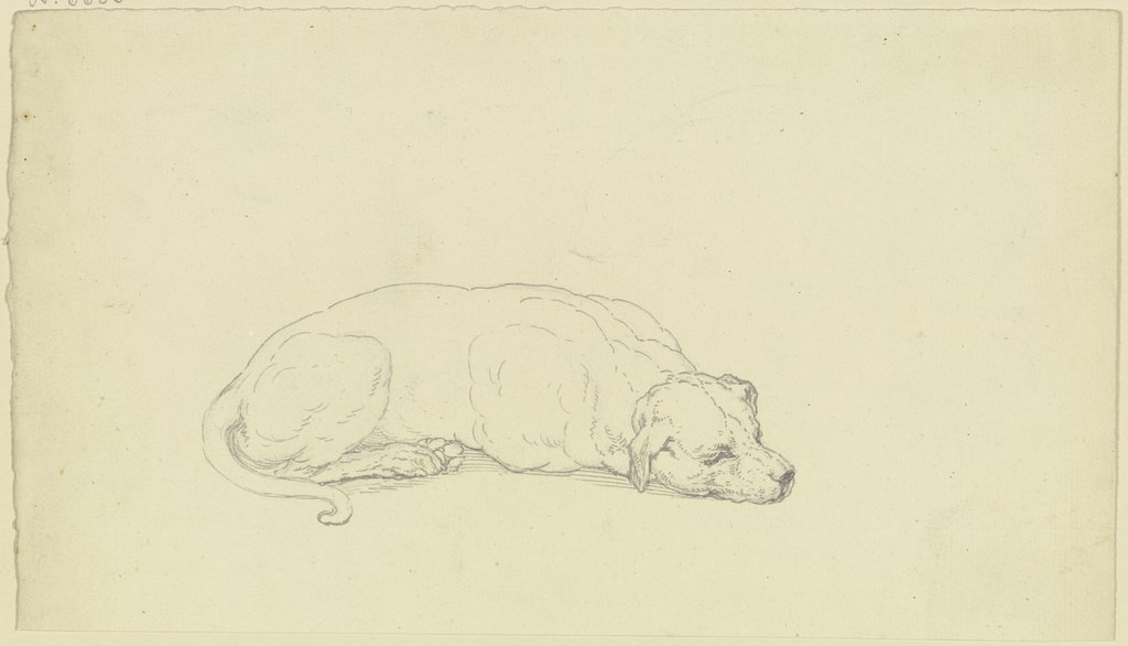 Sleeping dog, Ferdinand Fellner