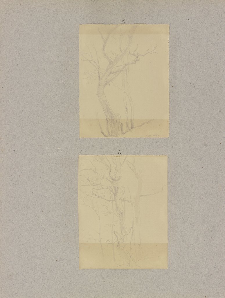 Klebebände, Band 18, Seite 88, Carl Theodor Reiffenstein