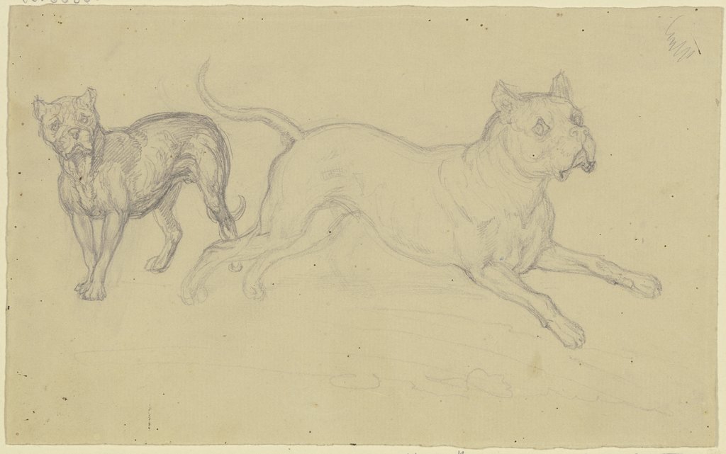 Stehender und nach rechts springender Hund, Ferdinand Fellner