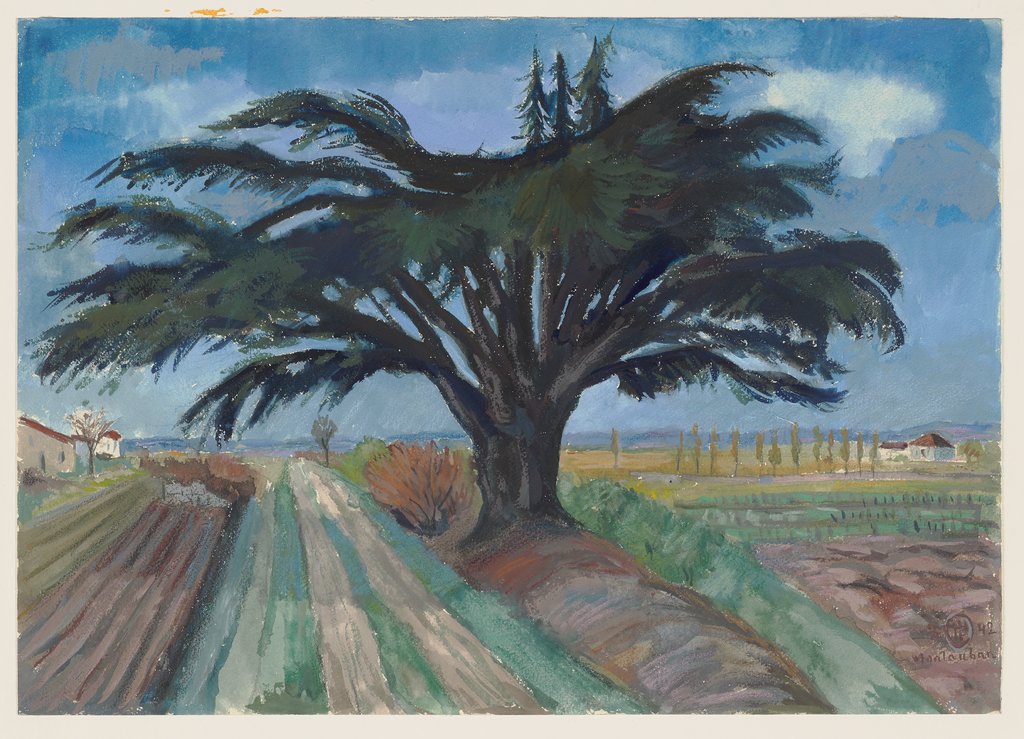 Großer Baum zwischen Feldern bei Montauban, Hermann Lismann