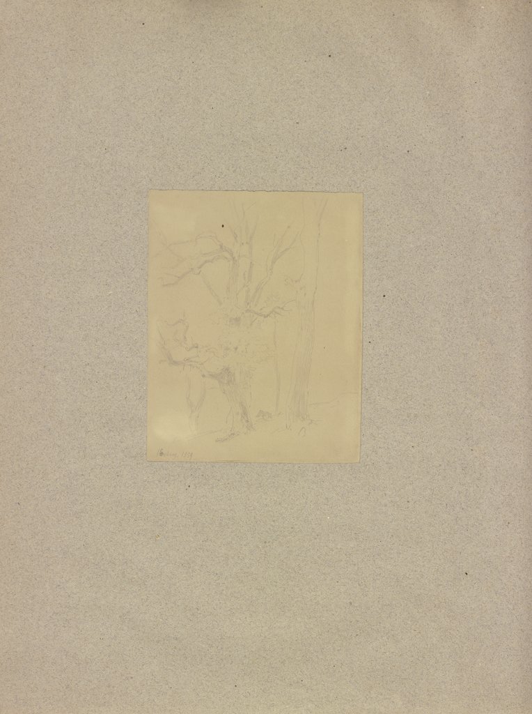 Klebebände, Band 19, Seite 72, Carl Theodor Reiffenstein