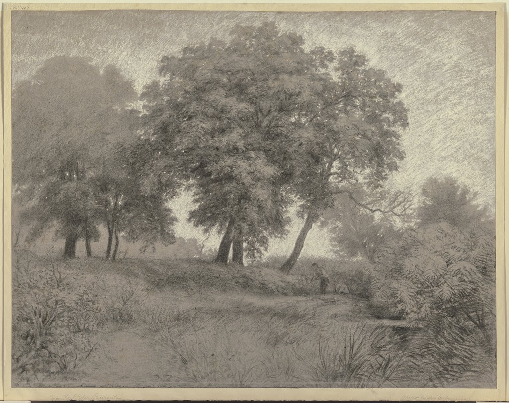Mann auf einer bei der Gerbermühle gelegenen Wiese unter hohen Bäumen mähend, Karl Peter Burnitz