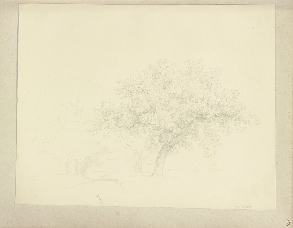 Klebebände, Band 21, Seite 113, Carl Theodor Reiffenstein