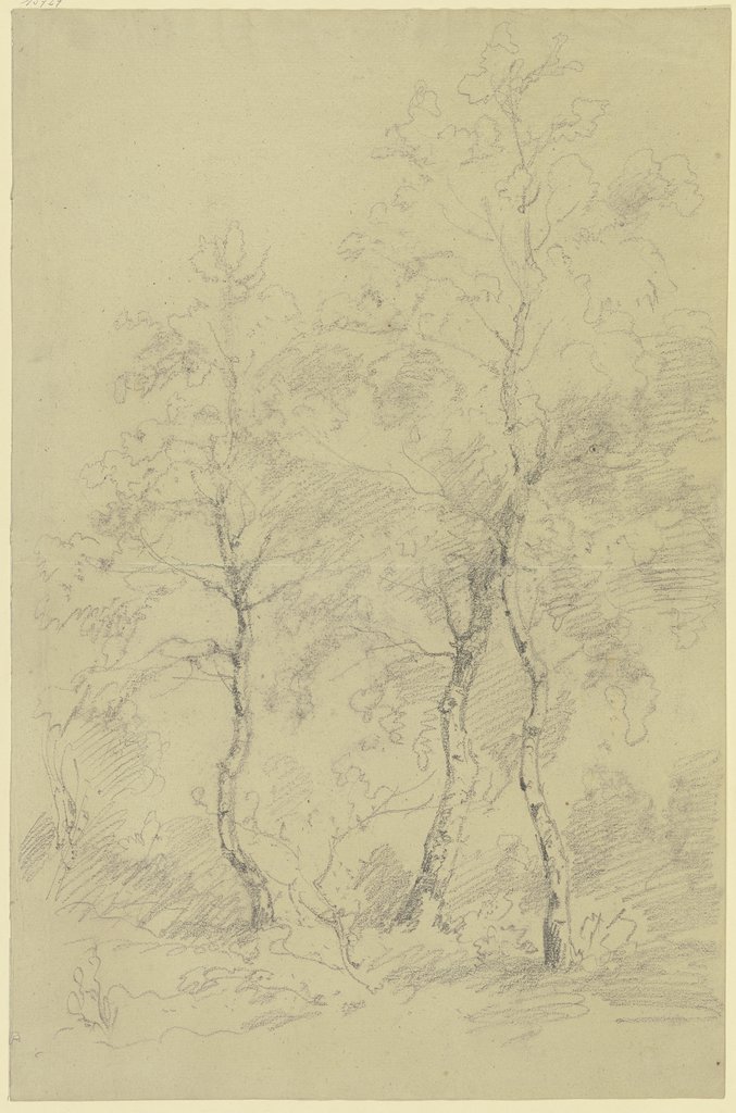 Three birch trees, Karl Peter Burnitz