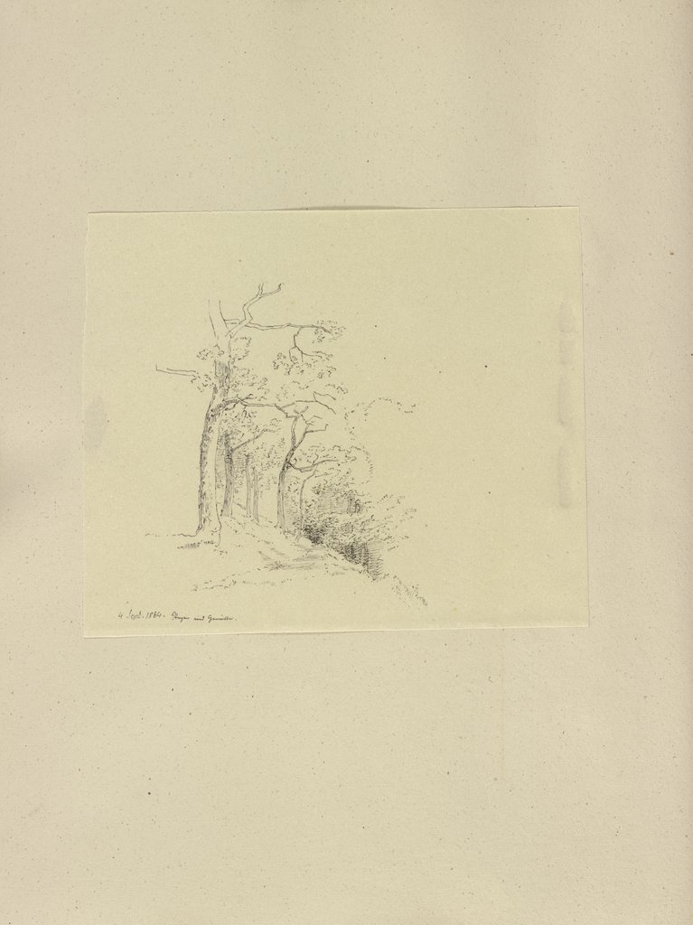 Klebebände, Band 24, Seite 26, Carl Theodor Reiffenstein