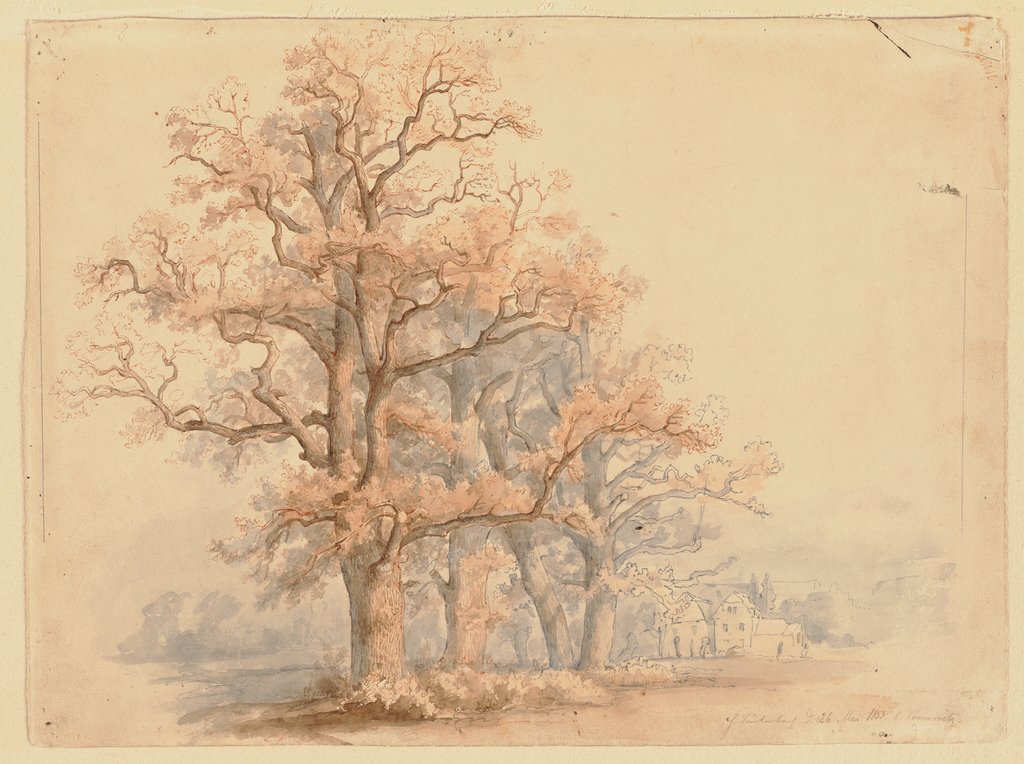Bäume und Gehöft bei Connewitz, H. Lauterbach