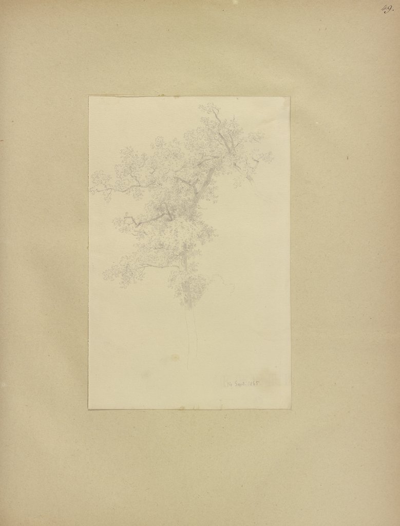 Klebebände, Band 25, Seite 49, Carl Theodor Reiffenstein