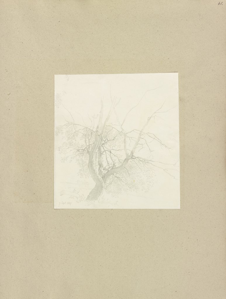 Klebebände, Band 27, Seite 41, Carl Theodor Reiffenstein
