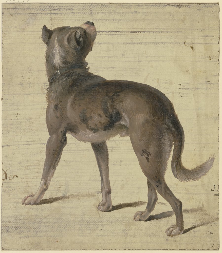 Dog, Philipp Rumpf