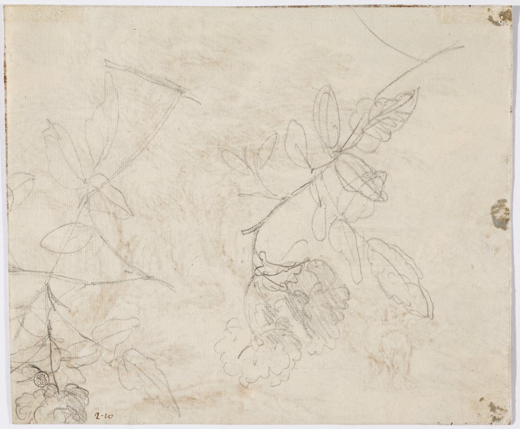 Zwei blühende Zweige, Jan van Huysum