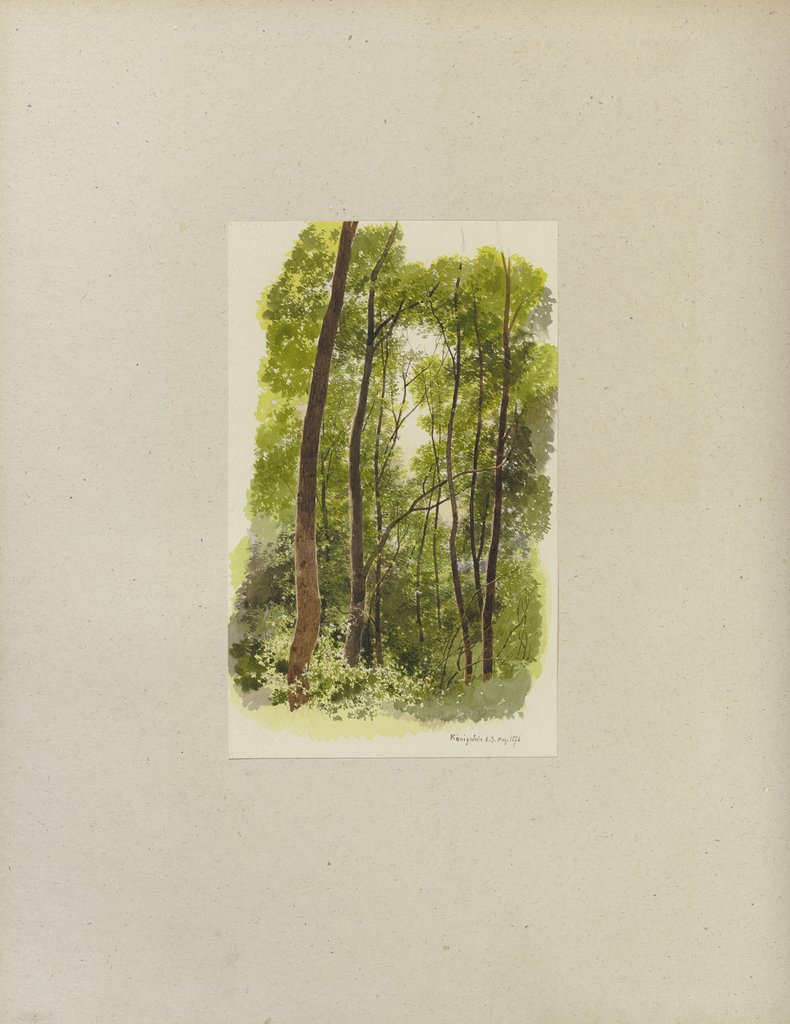Klebebände, Band 34, Seite 28, Carl Theodor Reiffenstein