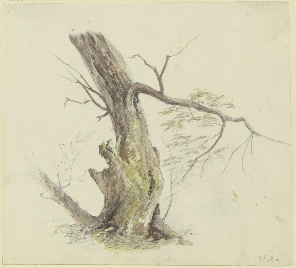 Tree, Johann Friedrich Morgenstern