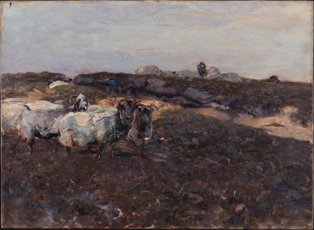 Sheeps in Moorland, Heinrich von Zügel