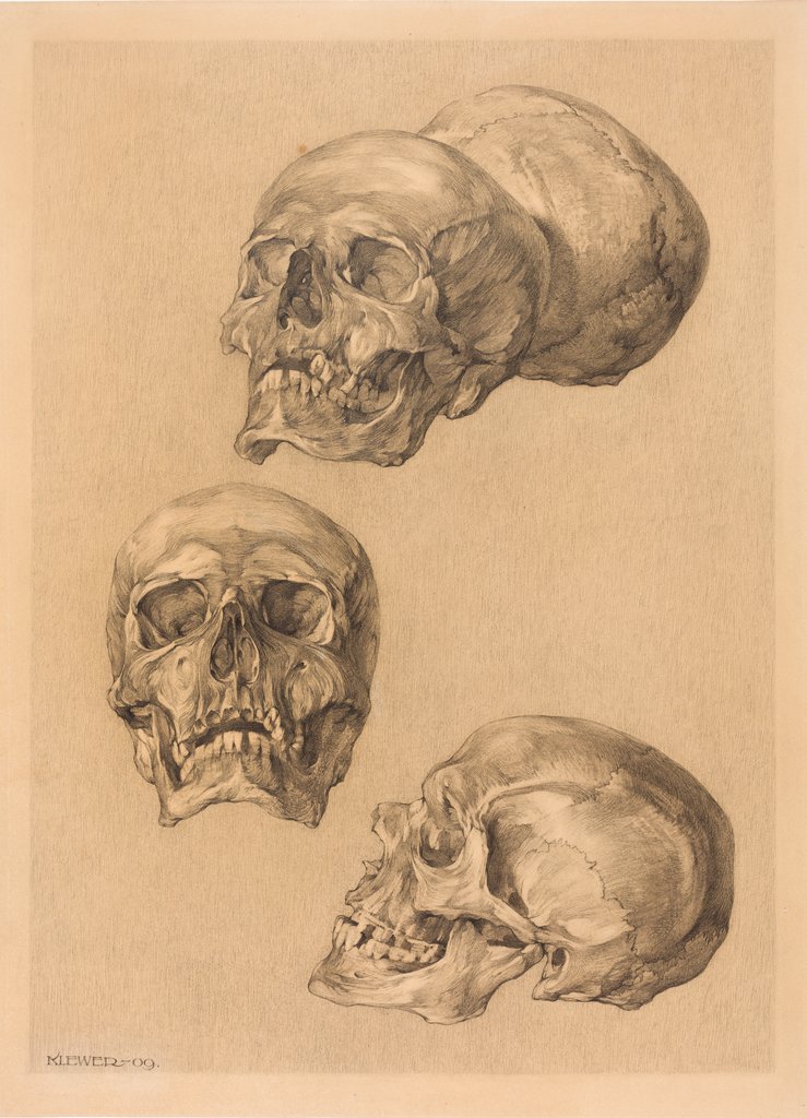 Totenschädel, Maximilian Klewer