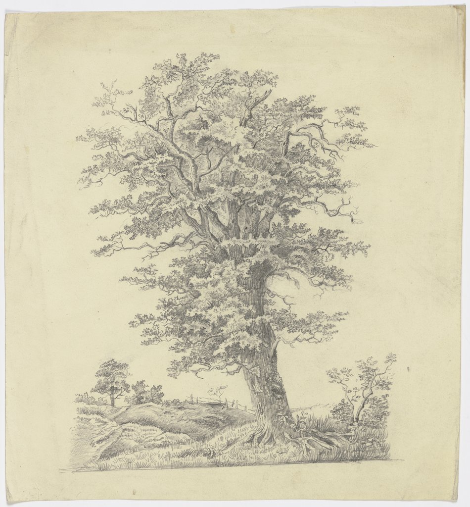Baum auf einer Wiese, Victor Müller