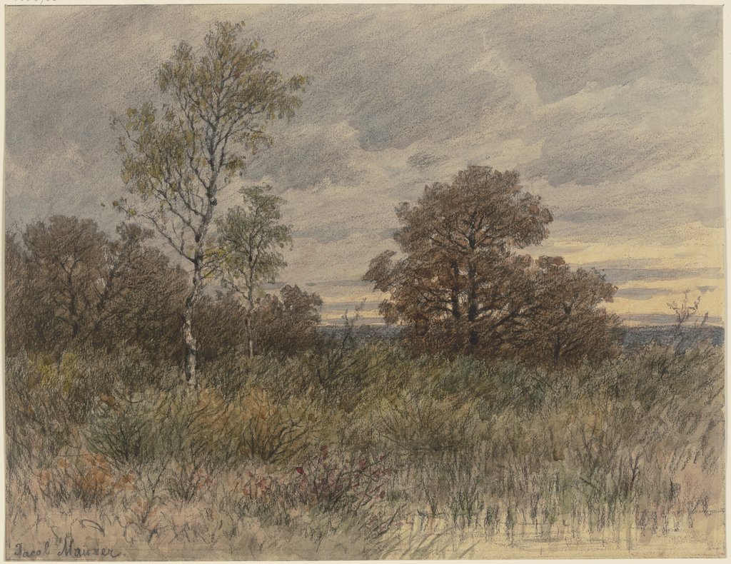 Regenlandschaft mit in sumpfigem Terrain stehenden Eichen und Birken, Jakob Maurer