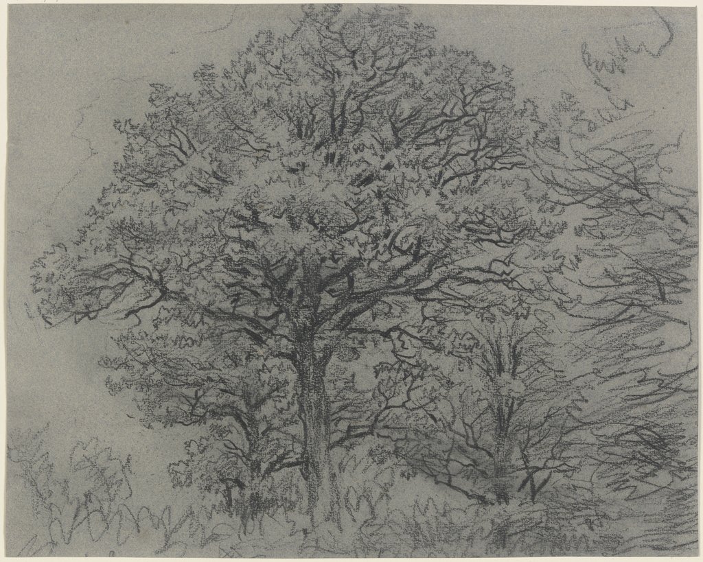 Group of trees, Jakob Maurer