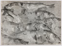 Untitled (Fresh fish), Karl Theodor Gremmler