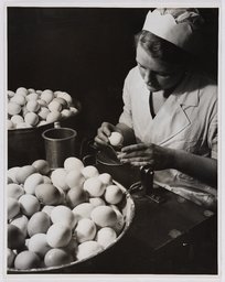 Untitled (Breaking and Inspecting Eggs, Bahlsen for Leibnitz Biscuits), Karl Theodor Gremmler