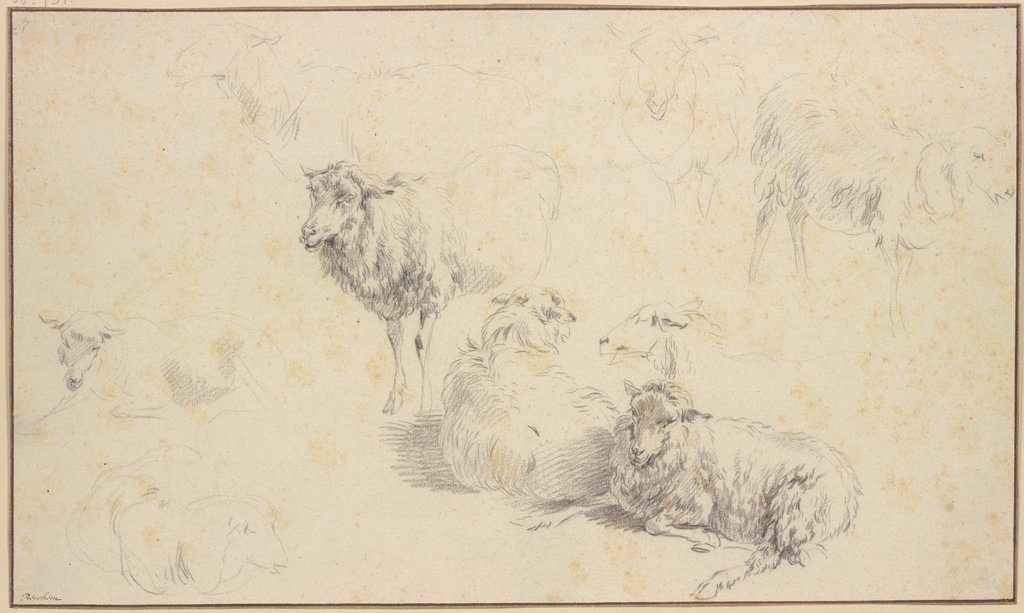 Neun Schafe, Nicolaes Berchem
