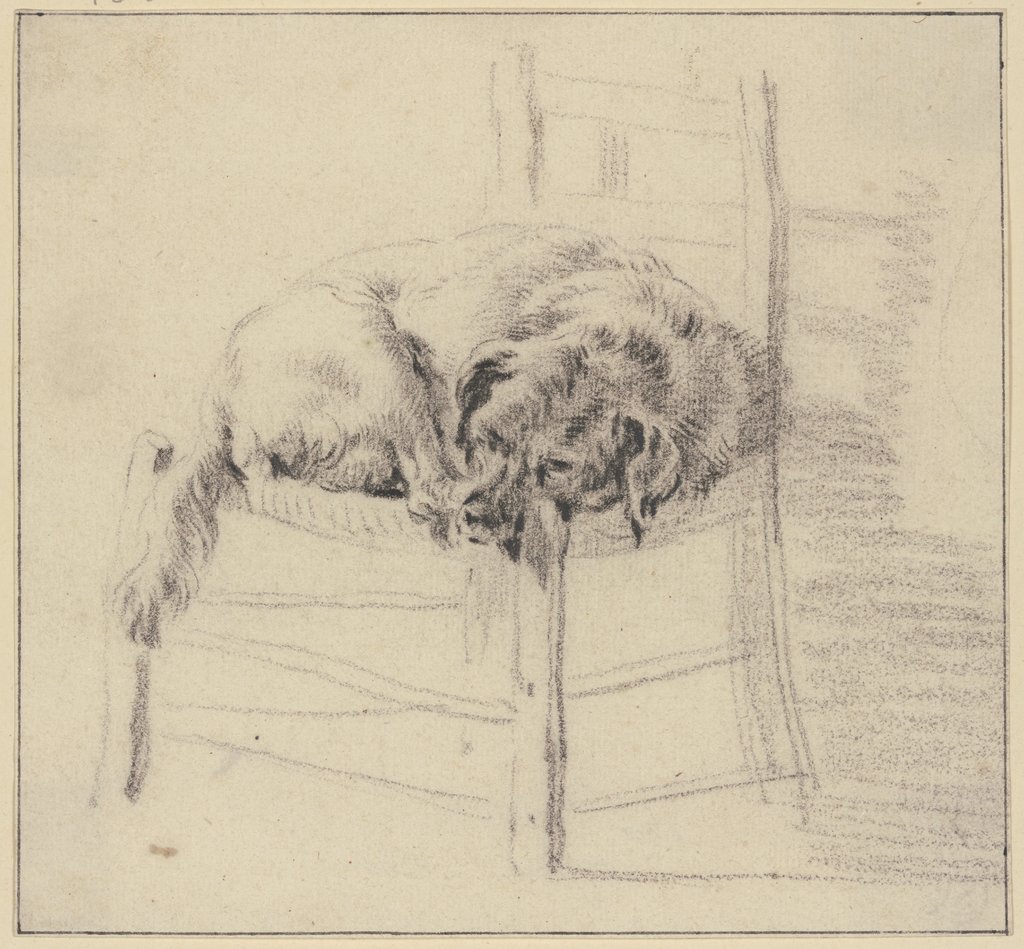 Ein Hund auf einem Stuhl liegend, Nicolaes Berchem