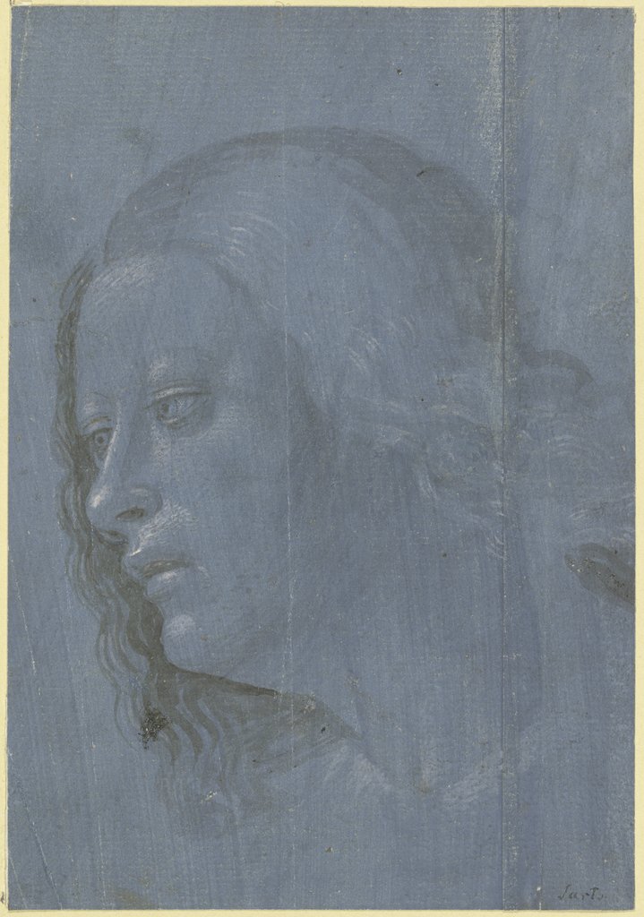 Frauenkopf im Dreiviertelprofil nach links, Italienisch, 16. Jahrhundert