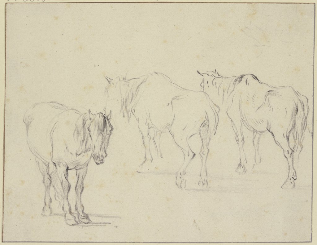 Drei alte Pferde, Pieter van Bloemen