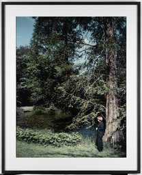 Andreas Mühe, Unterm Baum, 2008