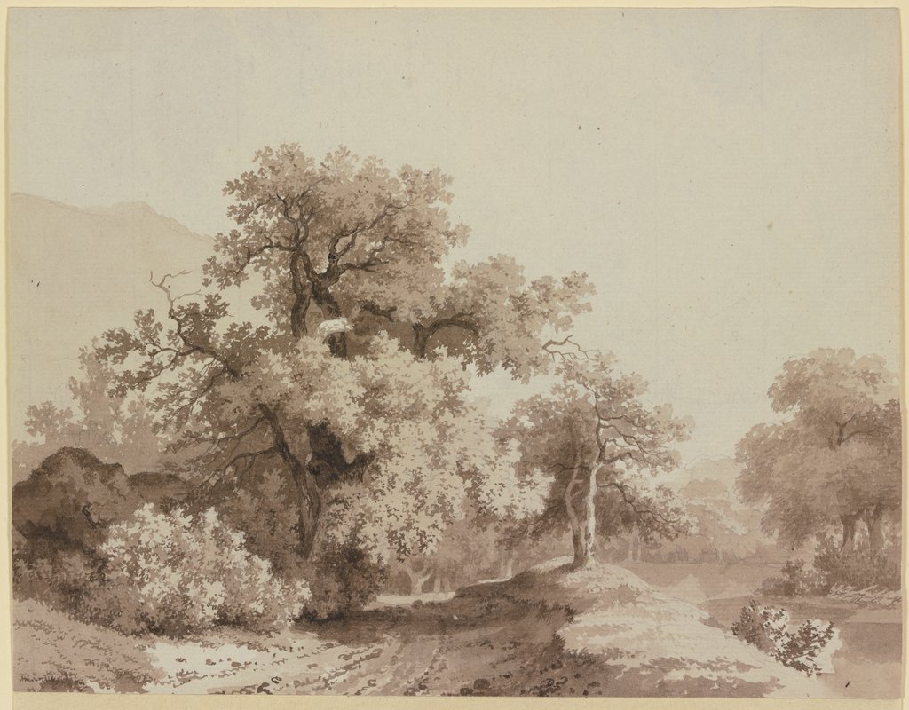 Landschaft mit großen Bäumen, Jean-Jacques de Boissieu