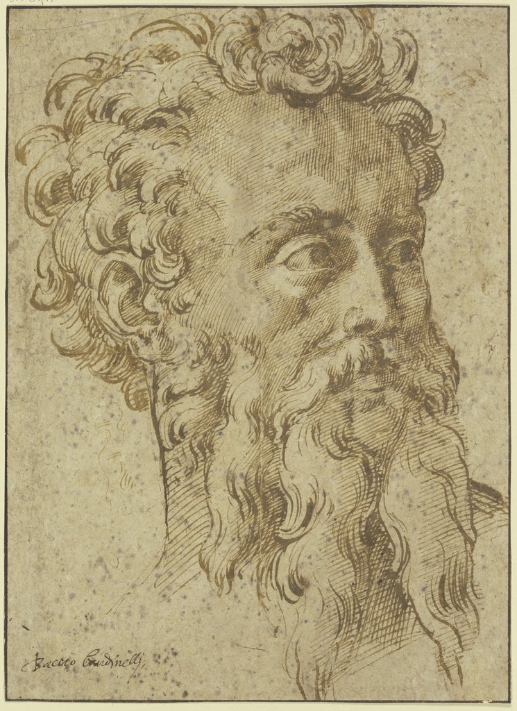 Männlicher Kopf mit langem geteiltem Bart dreiviertel nach rechts, Baccio Bandinelli
