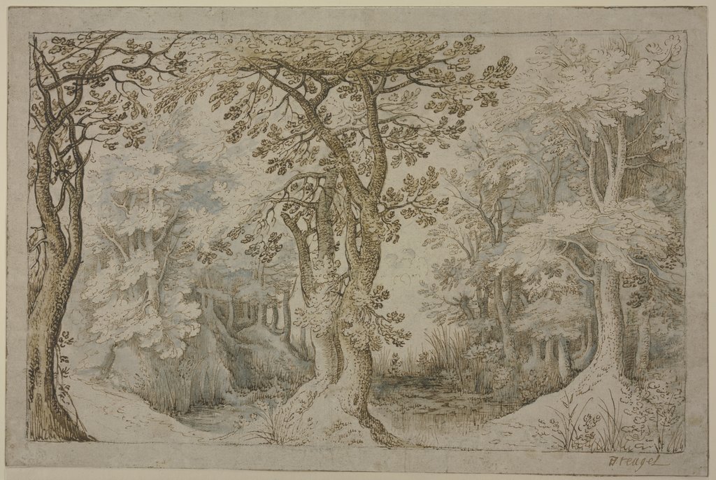 Forest in a swamp, Gillis van Coninxloo;   ?