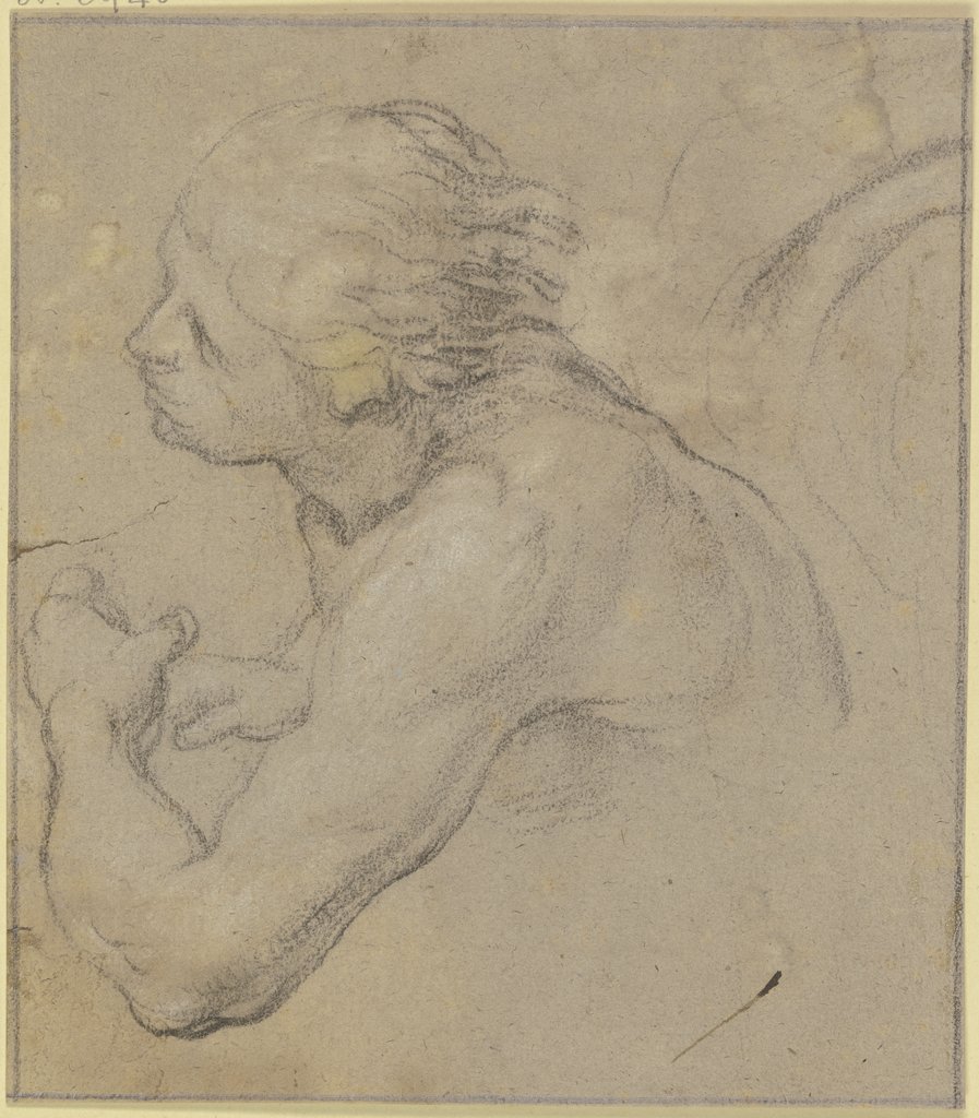 Kopf und Oberkörper eines Jünglings nach links, Domenico Beccafumi;   ?