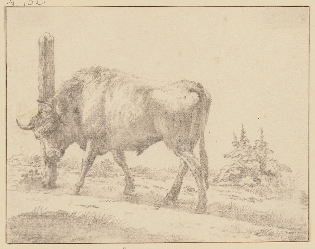 Ein Ochse, der sich mit dem Kopfe an einem Pfahl reibt, Karel Dujardin