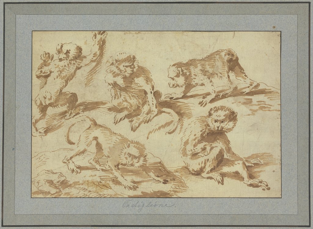 Fünf Affen in verschiedenen Stellungen, Giovanni Benedetto Castiglione