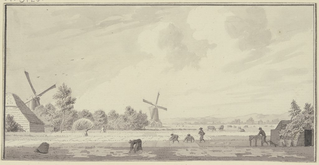 Buyten Haarlem, Cornelis Pronk