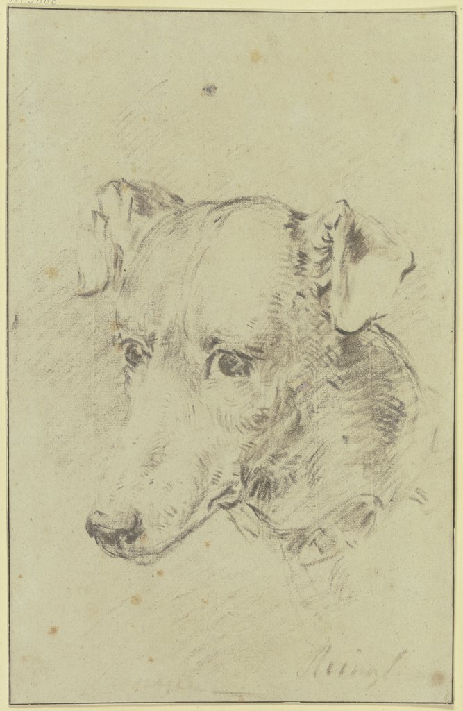 Dog's head to the left, Philip Reinagle