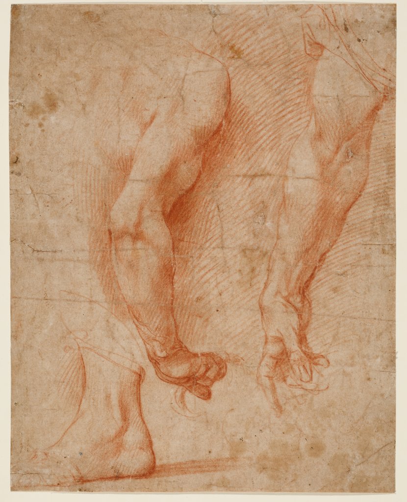 Studien von zwei Armen und eines Fußes, Andrea del Sarto