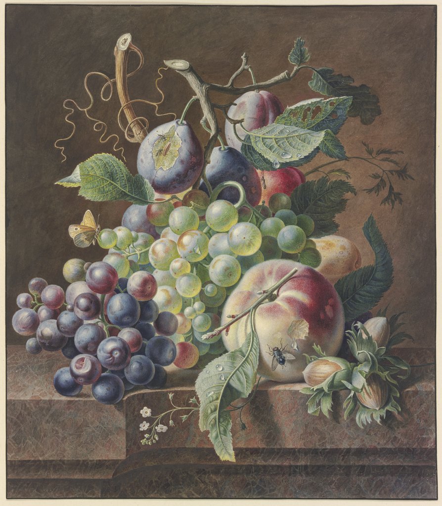 Früchtestück mit Pfirsich, Haselnuss,Trauben und Pflaumen, Jan van Huysum