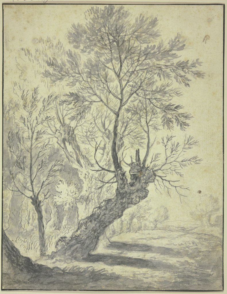 Weidenbäume, Niederländisch, 17. Jahrhundert