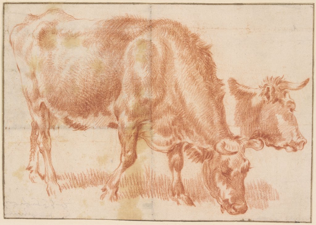 Grasendes Rind, rechts daneben ein Rinderkopf, Adriaen van de Velde